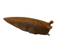 AllCachedUp Sneaky Magnetic Brown Slug Geocache Nano Tube Container - Ready to Hide - IMPROVED