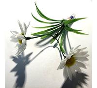 AllCachedUp Sneaky Woodland Flower Stealth Geocache Container Daisy, Crocus or Daffodil (Dasiy)