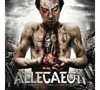 Fragments Of Form And Function