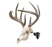 Allen Company EZ-Mount Trophy Skull Hanger - Adjustable Dual-Prong Mount for Deer, Bear & Antelope - Black Finish