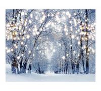 Allenjoy 10 x 8 FT Winter Forest Backdrop Wonderland Snowflake Photography Background Bokeh Glitter Snow Scene Christmas Party Decoration Tree Landscape Portrait for Photobooth Photo Studio