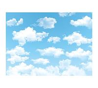 Allenjoy 8x6ft Blue Sky White Cloud Backdrop for Newborn Spring Portrait Photography Pictures Kids Children World Travel Aviator Birthday Party Decor Welcome Baby Shower Photo Shoot Background