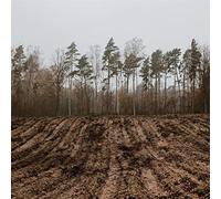 Alles und Nichts [VINYL]