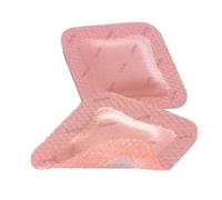 Allevyn 66800835 Gentle Border Lite Dressings, 10 cm x 10 cm (Pack of 10)