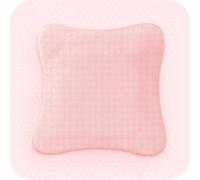ALLEVYN GENTLE BORDER-SILICONE GEL ADHESIVE HYDROCELLULAR FOAM DRESSING 10CM X10CM - 10 DRESSINGS