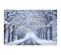 Alley Snowy Puzzle Game for Family Wooden Puzzle Toy Educational Games Puzzles for Home Decor_1000pcs