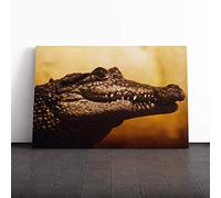 Alligator Canvas Print | Gallery Wrapped 30mm Frame Wall Art | 24x16 inches | Ready to Hang | Modern Picture | Living Room Bedroom Lounge Office