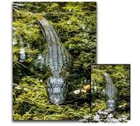 Alligator Jigsaw Puzzles for Adults 1000 Piece Challenging Puzzles Family Game Night Fun DIY Decorative Artwork 1000 PCS(75x50cm)