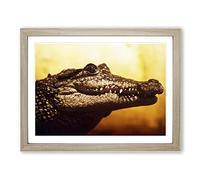 Alligator Modern Framed Print | A2 Oak Framed Wall Art | Ready to Hang | Modern Nature Picture | Living Room Bedroom Lounge Office