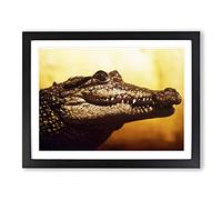 Alligator Modern Framed Print | A4 Black Framed Wall Art | Ready to Hang | Modern Nature Picture | Living Room Bedroom Lounge Office