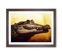 Alligator Modern Framed Print | A4 Walnut Framed Wall Art | Ready to Hang | Modern Nature Picture | Living Room Bedroom Lounge Office