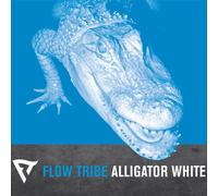Alligator White