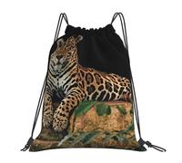 Alliya African Leopard On Rock Outdoor Portable Backpack Cute Casual Daily Backpack Travel And Play Big Pocket Bag