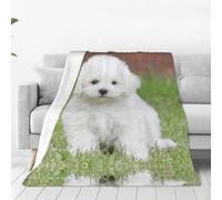 Alliya Bichon Frise Dog Multi Size Ultra Soft Flannel Blanket (Vertical Style) Home Rest Office Nap