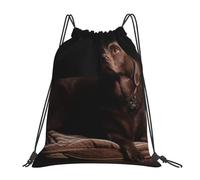 Alliya Brown Labrador Outdoor Portable Backpack Cute Casual Daily Backpack Travel And Play Big Pocket Bag