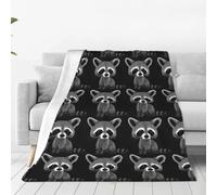 Alliya Cartoon Cute Raccoon Multi Size Ultra Soft Flannel Blanket (Vertical Style) Home Rest Office Nap