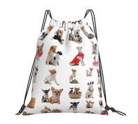 ALLiYa Cute Chihuahua Pug Pattern Outdoor Portable Backpack Cute Casual Daily Backpack Travel And Play Big Pocket Bag