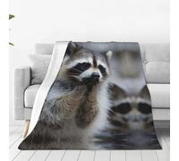 Alliya Cute Raccoon Multi Size Ultra Soft Flannel Blanket (Vertical Style) Home Rest Office Nap