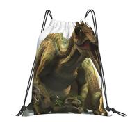 Alliya Dinosaurs Theme 3d Outdoor Portable Backpack Cute Casual Daily Backpack Travel And Play Big Pocket Bag