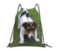 Alliya Dogs Playing On The Lawn Outdoor Portable Backpack Cute Casual Daily Backpack Travel And Play Big Pocket Bag