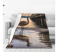 Alliya Wild Goose By The Bridge Multi Size Ultra Soft Flannel Blanket (Vertical Style) Home Rest Office Nap