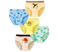 Allmeingeld Boys' Pterosaurs Briefs Cotton Soft Trunks 5 Pack Boxers for Children 9 Years