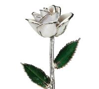 Allmygold 11" Snow White Platinum Dipped Real Rose