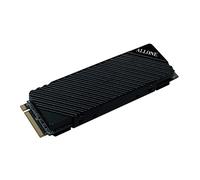 Allone BK ALG-P5M2SD1T for PS5 Internal M.2 SSD, 1TB with Heatsink