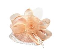 alloneslife Hair Clips,Hair Clips Women,Vintage Hairpin Headband With Net Flower Hairpieces Elegant Hair Accessory Hair Decoration For Women and Lady(blood tooth color)