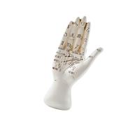 alloneslife Palmistry Hand Model Divination Diagrams Resin Sculpture Fortunes Telling Palms Reading Figurine Mystical Witch Supplies Divination Diagram