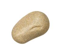 alloneslife Spare Entry Holder, Resin Outdoor Hideaway, Oval