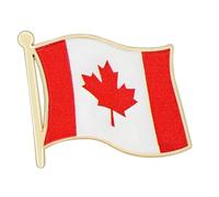 Alloy Flag Lapel Pins for International Event and Cultural Exchange with Sturdy Designs Alloy Coating Brooches