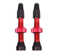Alloy Wheel Valve Stem,Alloy Valve Stem,Tubeless Air Pump Adapter - Accessories, Replacement Head, Pump Nozzle for Light Wheel, Fits Most Mountain Wheels