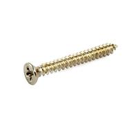 Allparts GS 0008 HB/Ring Screws/8 19 mm Stainless Steel