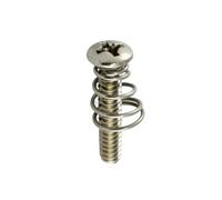 Allparts GS (005 PU Vintage Screws - Stainless Steel