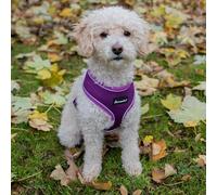 AllPetSolutions Dog Harness - Cool Pet Vest with Back D-Ring for Dog Lead Clips - Mesh Fabric Puppy Harness with Soft Padding - Training Stuff, Supplies for Small, Medium, Large Dogs - L, Purple