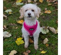 AllPetSolutions Dog Harness - Cool Pet Vest with Back D-Ring for Dog Lead Clips - Mesh Fabric Puppy Harness with Soft Padding - Training Stuff and Supplies for Small, Medium, Large Dogs - L, Pink