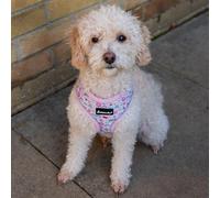 AllPetSolutions Dog Harness - Cool Pet Vest with Back D-Ring for Dog Lead Clips - Mesh Puppy Harness with Soft Padding - Training Stuff and Supplies for Small, Medium, Large Dogs - S, Grey Doughnuts