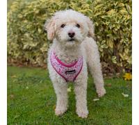 AllPetSolutions No-Pull Dog Harness - Padded Vest with Fun Flamingo Print, Reflective Trim & Breathable Air-Mesh (Small)