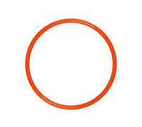 allpondsolutions Replacement Head O-ring for EF-2-BOOSTER/EF-150 x 1 Aquarium Filter