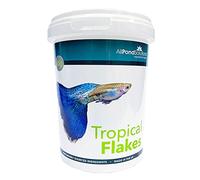 AllPondSolutions Tropical Flake Fish Food - Natural Large-Flake Food for Tropical Aquarium Fish, Made in the UK (45G)