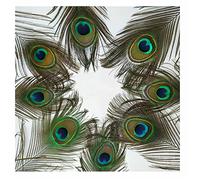 ALLRAM 10pcs/Set Beautiful Natural Peacock Feathers Eyes for Clothes Decoration Wedding Party 25-30cm Tail Feathers