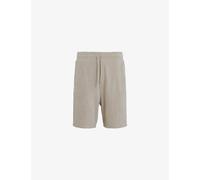 Allsaints Mens Stone Taupe Felix Logo-embroidered Relaxed-fit Recycled-polyester Shorts L