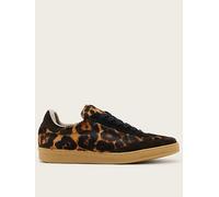 AllSaints Thelma Leopard Trainer - Brown, Brown, Size 7, Women Brown