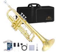 ALLSET Bb Standard Trumpet Set for Beginners - Brass Trumpet Kit with Musical Instruments Case, Mouthpiece, Cleaning Cloth, Valve Brushes - Trompeta for Student Band & Orchestr and Professionals