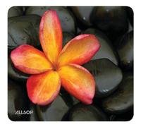 Allsop 30185