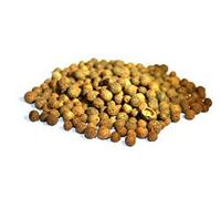 Allspice Whole Berries Jamaican Pepper 100g The Spiceworks Hereford Herbs & Spices