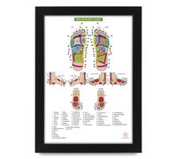 AllStarMedia Foot Reflexology Human Anatomy Poster | Anatomical Posters Educational Charts for Students and Medical Professionals, Wall Art (Unframed A3 (30x40cm))