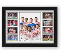 AllStarMedia Limited Edition Stoke City Football Club Signed Poster Print - Limited Edition Autograph Fan Gift - Collectible Memorabilia Merchandise (Framed A3 (30x40cm))