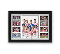 AllStarMedia Limited Edition Stoke City Football Club Signed Poster Print - Limited Edition Autograph Fan Gift - Collectible Memorabilia Merchandise (Framed A4 (30x21cm))